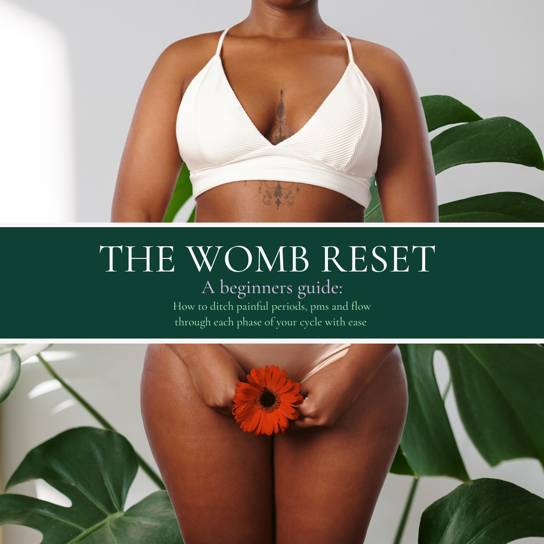 The Womb Reset: A Beginners Guide